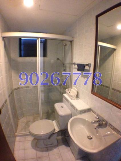 Santa Fe Mansions (D15), Apartment #114620232